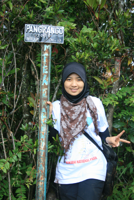 Agita Violy