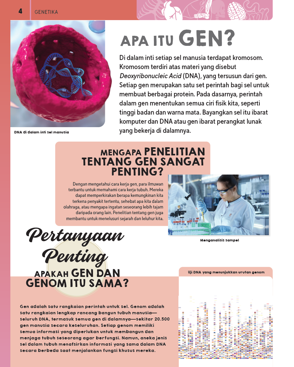 Ensiklopedia Tanya & Jawab Terlengkap Tubuh Manusia