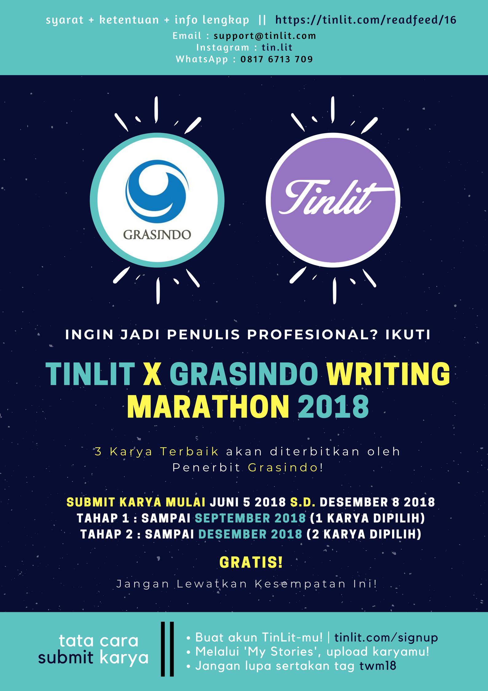 TinLit Novel Writing Marathon 2018